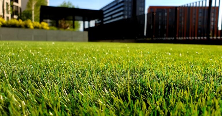 Residential yard with potential septic drain field issues